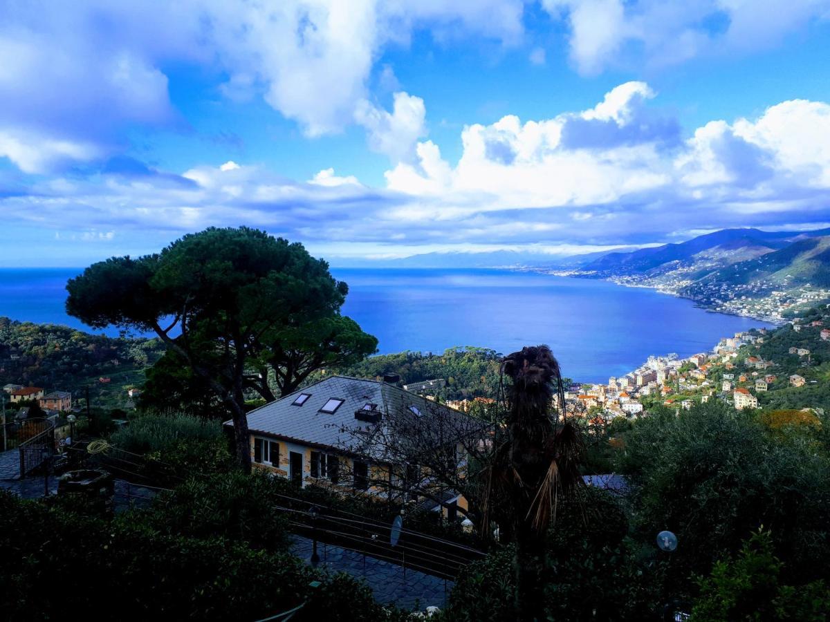 Casaviva - Bilo With Seaview And Parking In Camogli Exterior foto