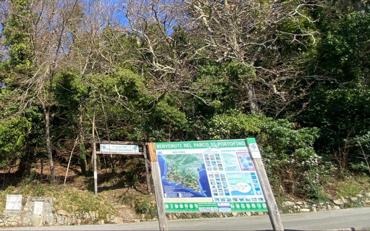 Casaviva - Bilo With Seaview And Parking In Camogli Exterior foto